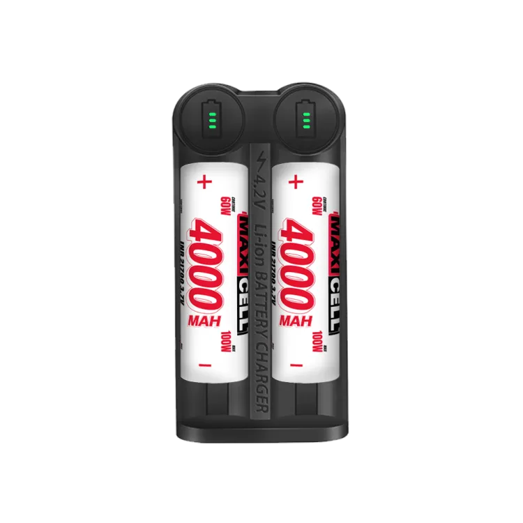 MAXICELL Chargeur MX2